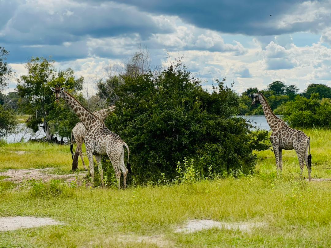 Mosi-Oa-Tunya National Park