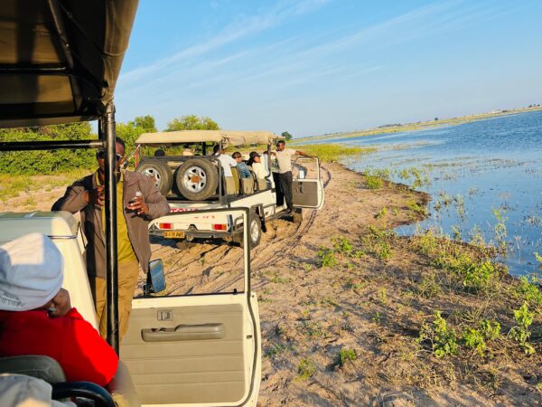 Chobe National Park Game Drive