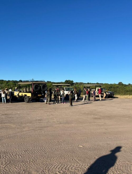 Chobe Game Drive: Full Day