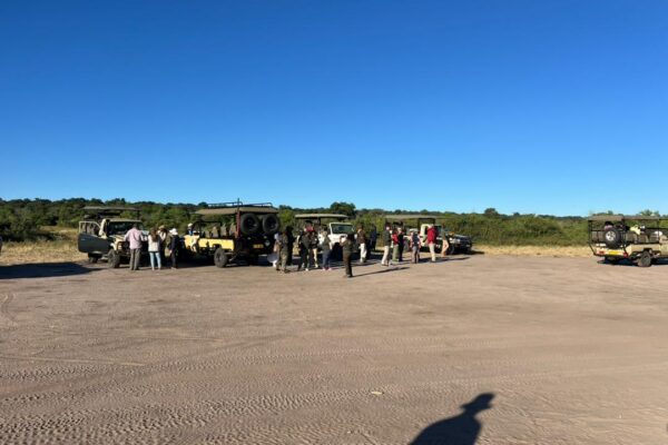 Chobe Game Drive: Full Day