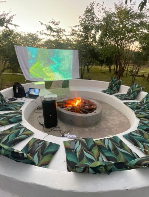 Safari Movie Night