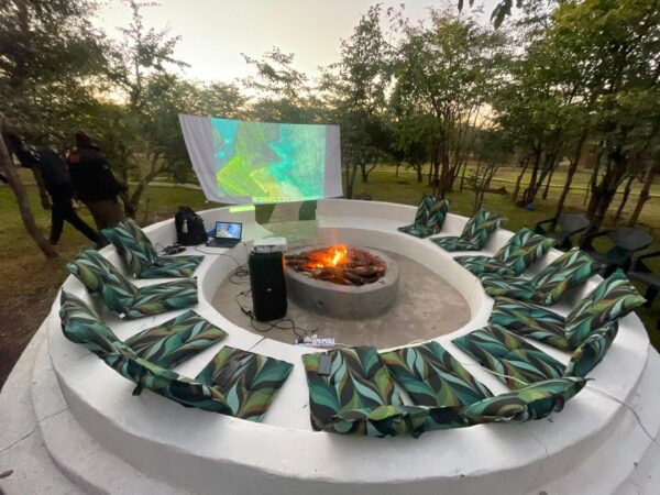 Safari Movie Night