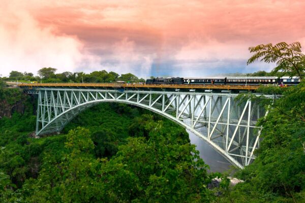 Royal Livingstone Express