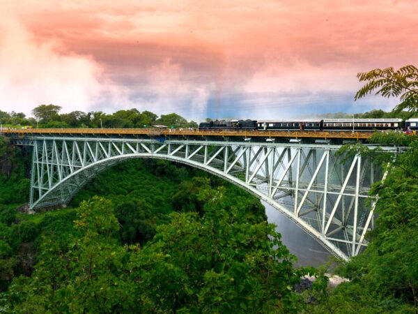 Royal Livingstone Express